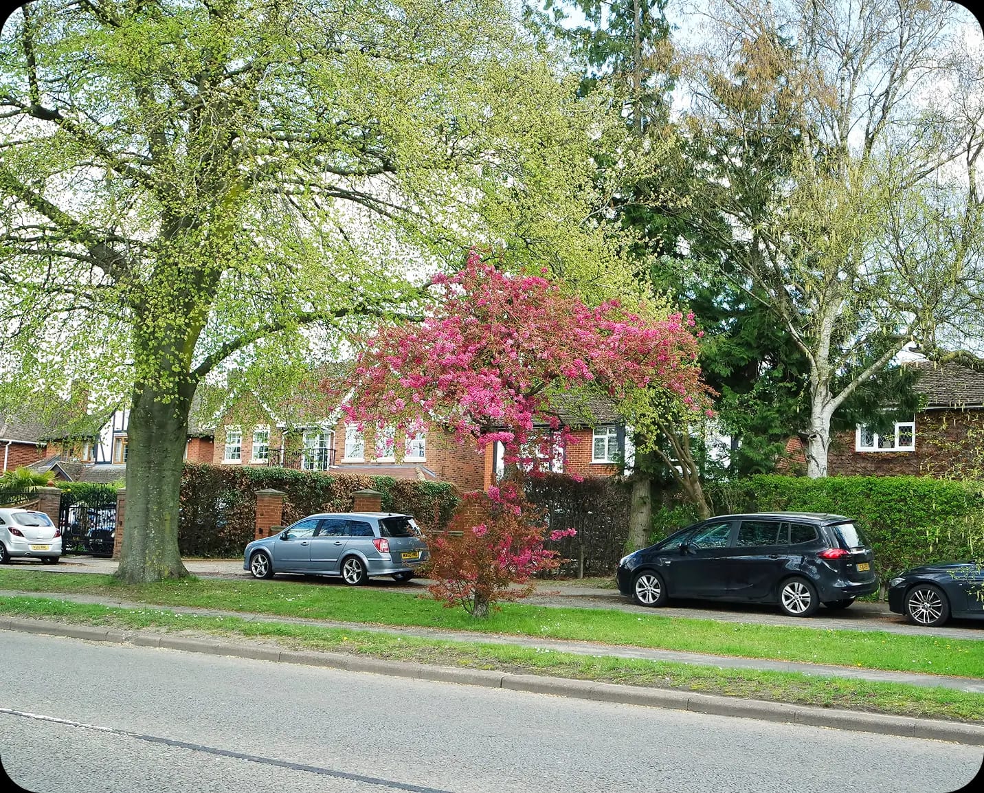 Welcome to United Cars